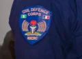 Nine arrested as NSCDC cracks down on crime in Adamawa