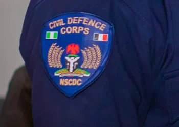 Nine arrested as NSCDC cracks down on crime in Adamawa