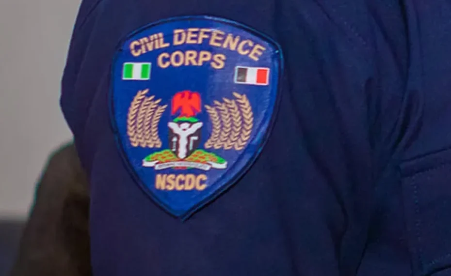 Nine arrested as NSCDC cracks down on crime in Adamawa