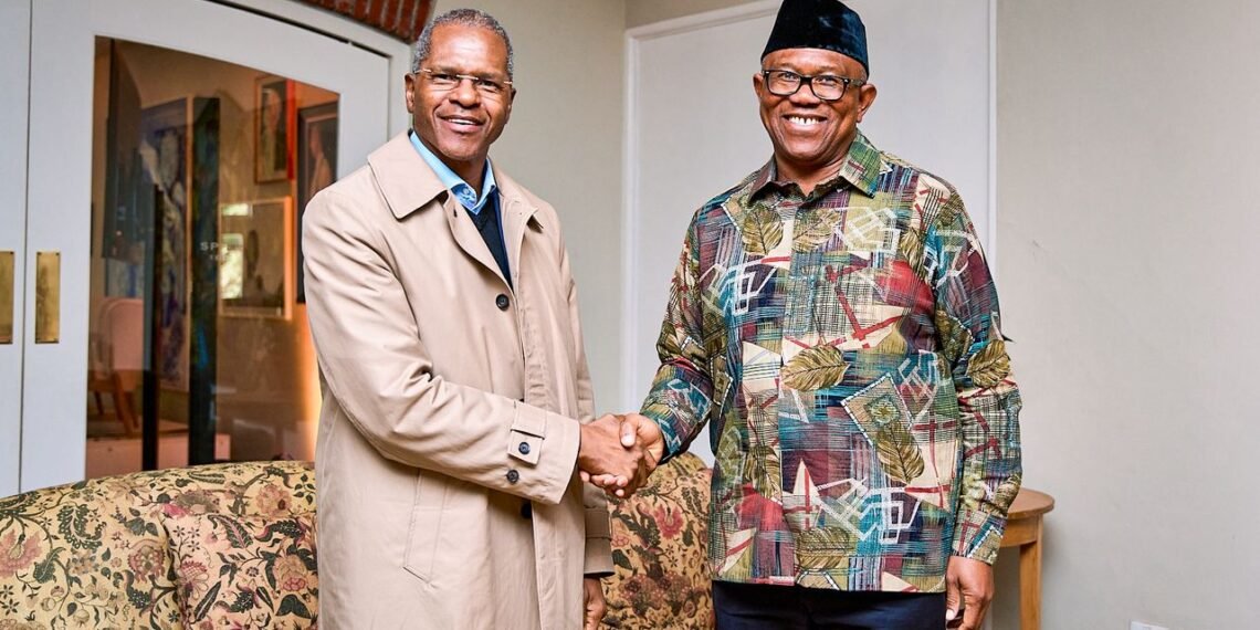 Obi calls for stronger Nigeria–South Africa cooperation on migration, security
