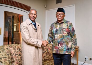 Obi calls for stronger Nigeria–South Africa cooperation on migration, security