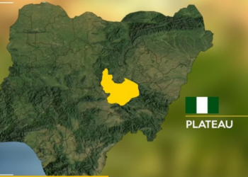 Gunmen kill 1, rustle over 50 cattle in fresh Plateau attack