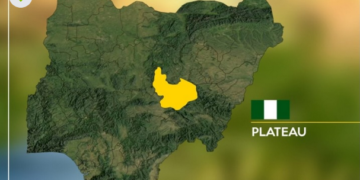 Gunmen kill 1, rustle over 50 cattle in fresh Plateau attack