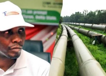 Tompolo Pipeline Contract: Kpokpogri Alleges Smear Campaign, Urges Tinubu to Maintain Status Quo