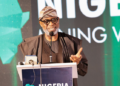 Tinubu saved Nigeria's economy from collapsing, says Alake