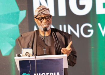 Tinubu saved Nigeria's economy from collapsing, says Alake
