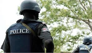 Police arrest 2 suspected armed robbers, recover pump-action gun in Delta