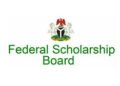 FG suspends National Award Scholarship, dissolves Federal Scholarship Board over funding crisis