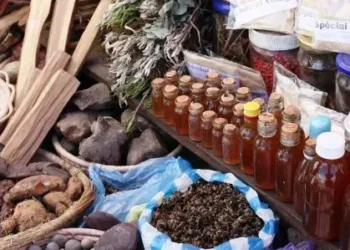 Nigeria can become healthcare powerhouse through traditional medicine - Prof. Okokon