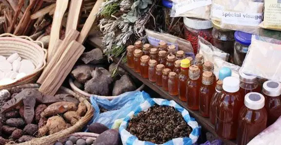 Nigeria can become healthcare powerhouse through traditional medicine - Prof. Okokon