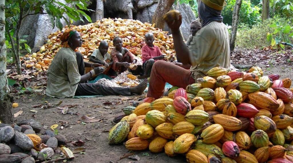 SNPM tasks FG on value-addition to raw materials, produce export