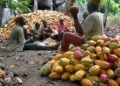 SNPM tasks FG on value-addition to raw materials, produce export