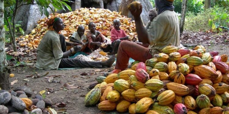 SNPM tasks FG on value-addition to raw materials, produce export