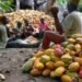 SNPM tasks FG on value-addition to raw materials, produce export