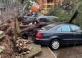 Rainstorm wreaks havoc in Asaba, crushes 3 luxury vehicles, destroys billboards, power infrastructure