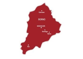 Teacher Killed, Scores Of Students Abducted As Gunmen Invade School In Borno Border Community
