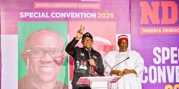 Exclusive: NDC ticket wars deepen as Kwankwaso loyalists dominate North, Obi supporters allege shutout