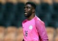 Former Super Eagles goalie Daniel Akpeyi announces retirement from professional football