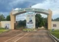Dennis Osadebay University, Asaba, warns public against fake nursing admission advertisement