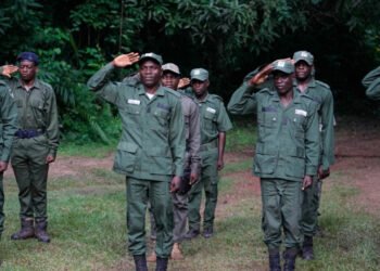 Edo: Forest Guards Will Strengthen Security in Forests, Farmlands