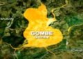Police debunk viral video claiming youths mobilising to fight insurgents in Gombe