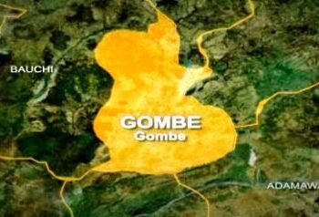 Police debunk viral video claiming youths mobilising to fight insurgents in Gombe