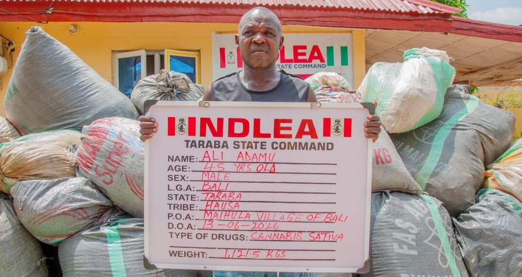NDLEA seizes over 1.1 tonnes of cannabis in major Taraba drug bust