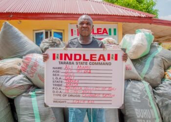 NDLEA seizes over 1.1 tonnes of cannabis in major Taraba drug bust
