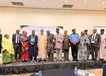 FG To Embed Journalists In Military Operations For Accurate Reportage