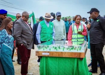 Mutfwang’s Livestock Projects to Boost Economic Opportunities in Plateau, Group Says