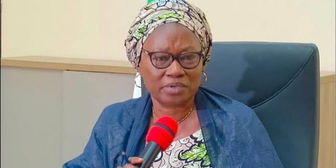 Deputy governor commends peaceful conduct of Adamawa LG elections