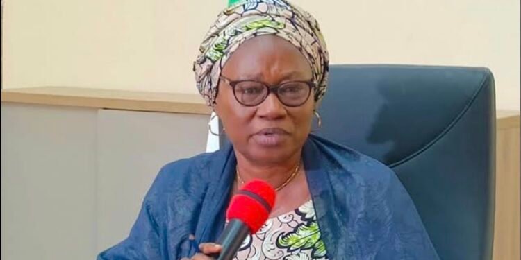 Deputy governor commends peaceful conduct of Adamawa LG elections