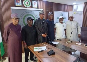NPFL Champions To Earn ₦1bn As NSC, NFF Unveil Major Football Reforms