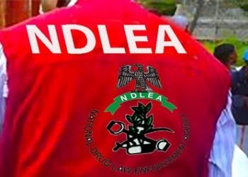 NDLEA Busts Nigerian-Mexican Drug Cartel, Dismantles Meth Lab in Oyo Forest