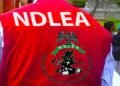 NDLEA arrest 262 drug offenders