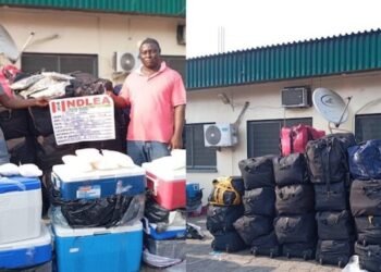 NDLEA Arrest 620 Suspects, Intercepts 477.668 Kilograms Of Illicit Drugs In Bayelsa