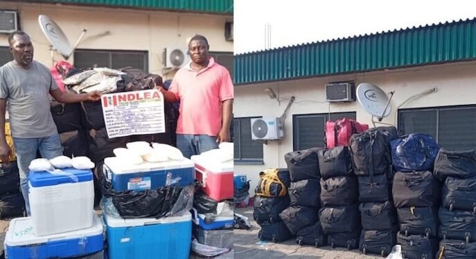 NDLEA Arrest 620 Suspects, Intercepts 477.668 Kilograms Of Illicit Drugs In Bayelsa
