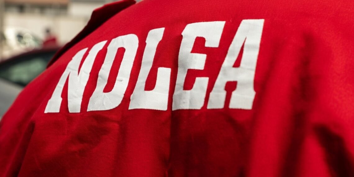 NDLEA Records 559 Arrests, 128 Convictions in Anambra Crackdown