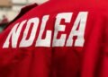 NDLEA Records 559 Arrests, 128 Convictions in Anambra Crackdown