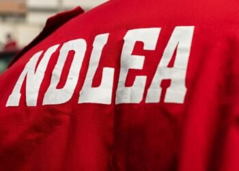 NDLEA Records 559 Arrests, 128 Convictions in Anambra Crackdown