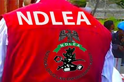 NDLEA arrest 262 drug offenders
