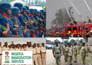 Frustration Trails Recruitment Into Civil Defence, Immigration, Fire Service, Correctional Service