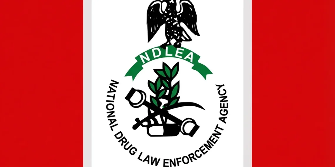 NDLEA intercepts large opioid consignment in Taraba, arrests 75-year-old drug dealer in Ebonyi