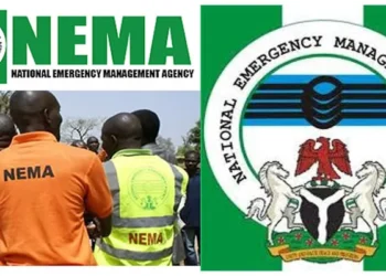 NEMA stressed need to focus on disaster prevention than reaction