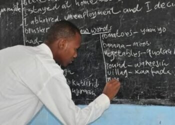 Nigeria Faces Deficit of 200,000 Teachers as College Enrolment Drops, 18 States Halt Recruitment