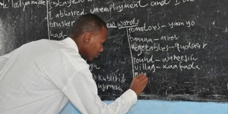 Nigeria Faces Deficit of 200,000 Teachers as College Enrolment Drops, 18 States Halt Recruitment