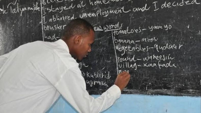Nigeria Faces Deficit of 200,000 Teachers as College Enrolment Drops, 18 States Halt Recruitment