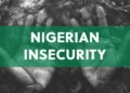 Insecurity: Send more Troops to Nigeria - American Psychologist urges Trump