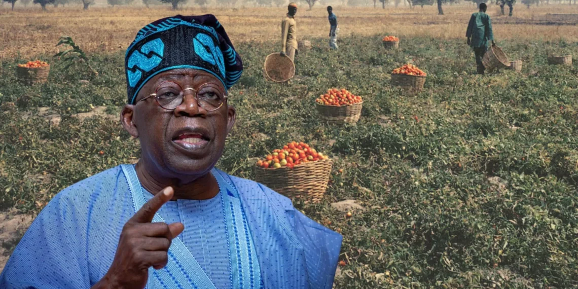 Tinubu Highlights Fertiliser Initiative, Says Nigeria Strengthening Food Security Through Renewed Hope Programmes