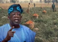 Tinubu Highlights Fertiliser Initiative, Says Nigeria Strengthening Food Security Through Renewed Hope Programmes